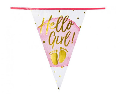 Girlanda 'Hello Girl!', 30 x 20 cm 6 m baby shower dziewczynki