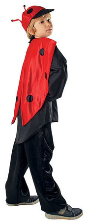 BIEDRONKA CHŁOPIEC UNIWERSALNY