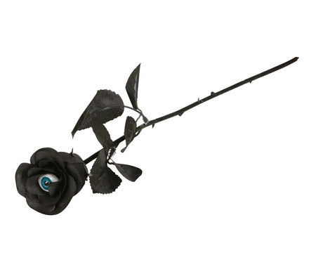 CZARNA RÓŻA Z OKIEM