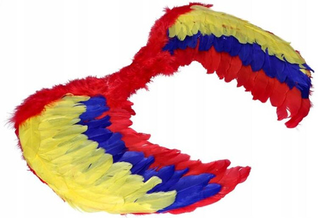 KOLOROWE SKRZYDŁA Z PIÓR 60 X 40 CM