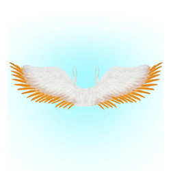 SKRZYDŁA ANIOŁA BIAŁO-ZŁOTE