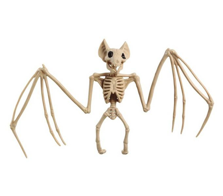 SZKIELET NIETOPERZA 30 x 16 CM