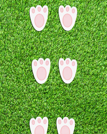 ŚLADY KRÓLICZKA 20 SZT.