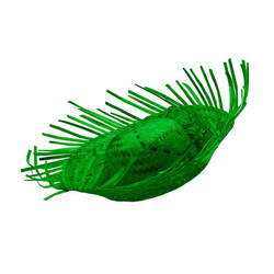 KAPELUSZ HAWAJSKI ZIELONY