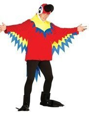 STRÓJ KOLOROWA PAPUGA