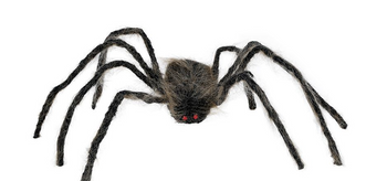 BRĄZOWY WŁOCHATY PAJĄK 75 CM