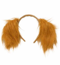 USZY KUDŁATY SPANIEL NA OPASCE