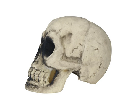 CZASZKA 32 CM HALLOWEEN