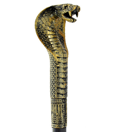 LASKA ZE ZŁOTĄ KOBRĄ