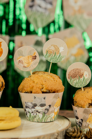 PIKERY NA TORT LEŚNE ZWIERZĄTKA 6 SZT