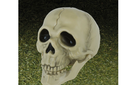 CZASZKA Z RUCHOMĄ SZCZĘKĄ 13 CM HALLOWEEN