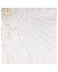 SERWETKI PAPIEROWE PROMIENIE BIAŁE 33 CM 10 SZT.