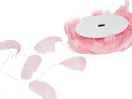 PIÓRKA NA DRUCIE RÓŻOWE 10m