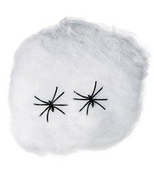 SIEĆ PAJĘCZA Z PAJĄKAMI 40G