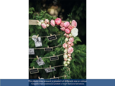 Klamerki, złoty metalizowany (1 karton / 50 op.) (1 op. / 20 szt.)