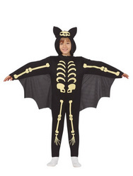 STRÓJ SZKIELET NIETOPERZA