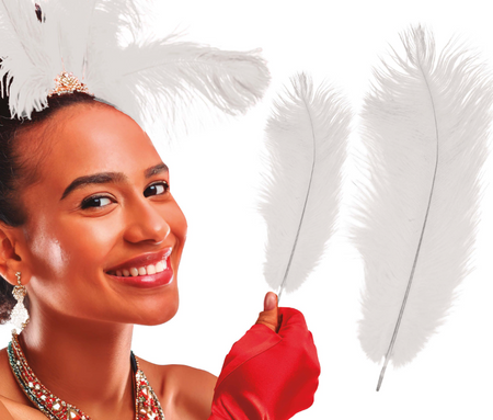 BIAŁE PIÓRO DLUGOŚĆ 30 CM