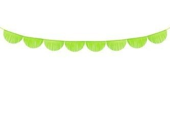 GIRLANDA BIBUŁOWA FRĘDZLE Z. JABŁUSZKO 3 M