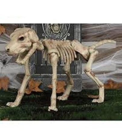 DEKORACJA SZKIELET PSA