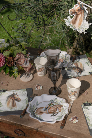 SERWETKI PAPIEROWE KONIE DŻOKEJ 25X25 CM 20 SZT