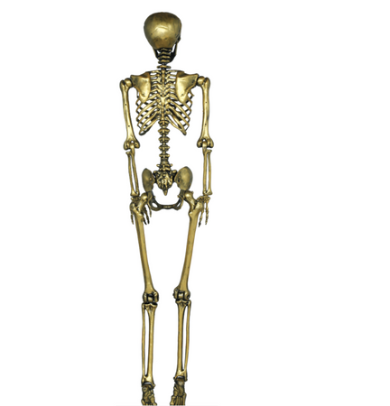 SZKIELET KOŚCIOTRUP 160 CM ZŁOTY