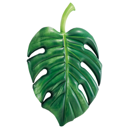 MATERAC DMUCHANY TROPIKALNY LIŚĆ 213 X 142 CM