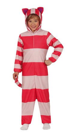 STRÓJ KOTEK W PASKI