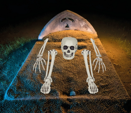 ZESTAW KOŚCI SZKIELETA 5 EL. 