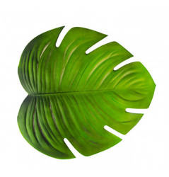 DEKORACJA LIŚĆ MONSTERY 47 X 42 CM