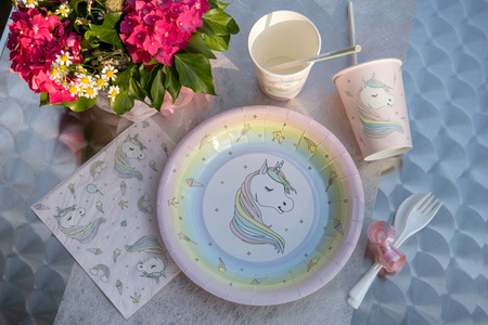 TALERZYKI PAPIEROWE BAJKOWY JEDNOROŻEC 23 CM 10 SZT