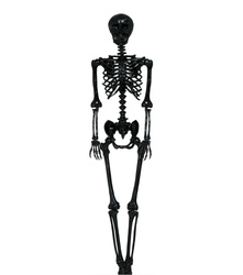 DEKORACJA SZKIELET CZARNY 90 CM