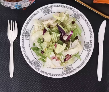 NOŻE PLASTIKOWE WIELORAZOWE BIAŁE 10 SZT