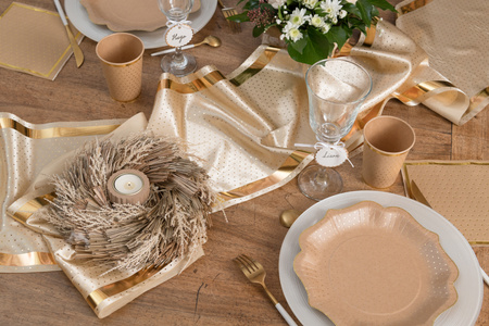 TALERZYKI PAPIEROWE ZŁOTE KROPKI KRAFT 21 CM 10 SZT