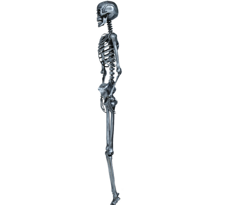 SZKIELET KOŚCIOTRUP 160 CM SREBRNY