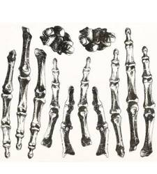 TATUAŻ KOŚCI DŁONI