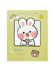 TORBA PREZENTOWA Z OKIENKIEM ZWIERZĄTKA 24,5 X 19,5 X 9,5 CM