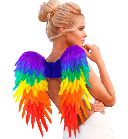 SKRZYDŁA TĘCZOWE 50 X 50 CM