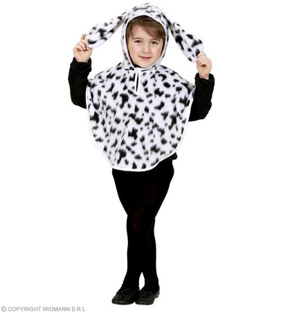 PONCZO DALMATYŃCZYK