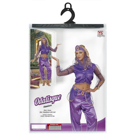 Strój Tancerka Brzucha, Alladynka, Arabka