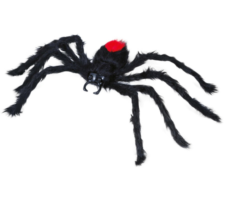 CZARNY WŁOCHATY PAJĄK 60 CM
