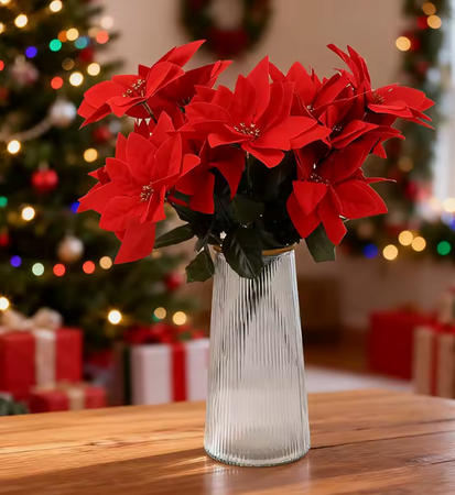 GWIAZDA BETLEJEMSKA BUKIET