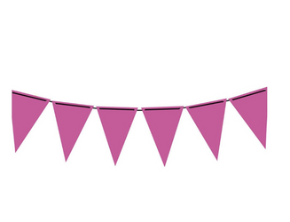 GIRLANDA FLAGI RÓŻOWE 3 M