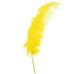 PIÓRO STRUSIA ŻÓŁTE 63 CM 1 SZT.