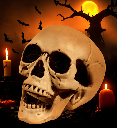 CZASZKA Z RUCHOMĄ SZCZĘKĄ 12 CM