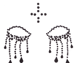 CYRKONIE SAMOPRZYLEPNE DO CHARAKTERYZACJI ZAKONNIC