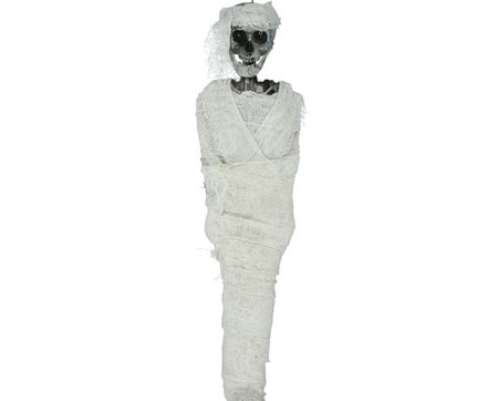 SZKIELET MUMIA 40 CM