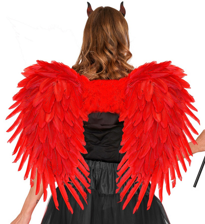 SKRZYDŁA CZERWONE 58X72 CM