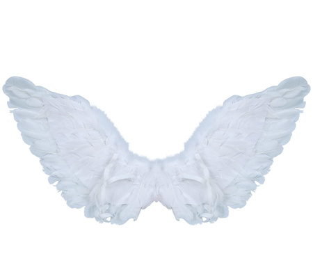 SKRZYDŁA BIAŁE 106x22 CM