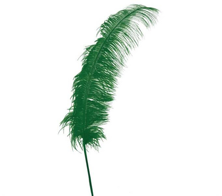 PIÓRO STRUSIA ZIELONE 63 CM 1 SZT.
