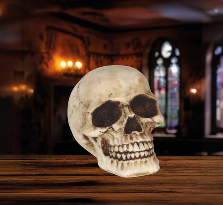 CZASZKA Z ŻYWICY 8 CM HALLOWEEN